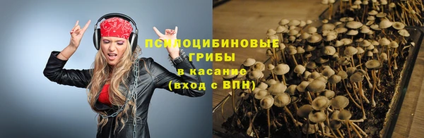 трава Новокубанск