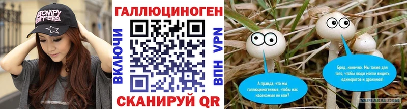 Псилоцибиновые грибы GOLDEN TEACHER  Купить где  Малаховка 